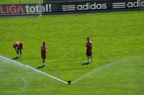 First FCB practice pictures